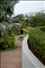 Jardim Botanico over Funchal